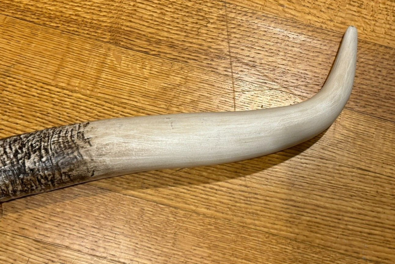 41" STEER BULL HORNS WESTERN LONGHORN WALL HANGING COW 3 1/2 Foot FAUX longhorns