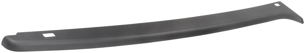 Body Molding  Dorman (OE Solutions)  926-913