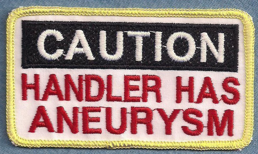 CAUTION HANDLER HAS ANEURYSM - service dog vest patch