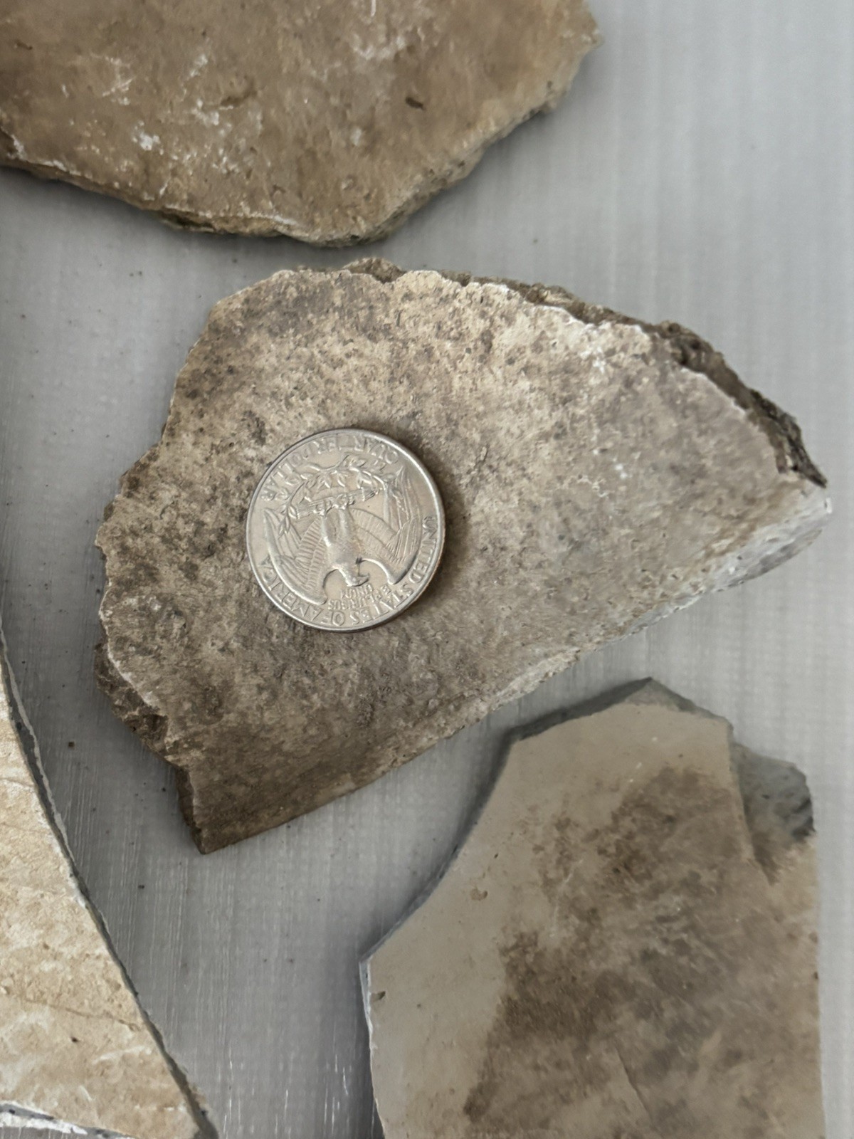 Lot of 7 Large Ancient Anasazi Native American Pottery Shards Arizona L5-D