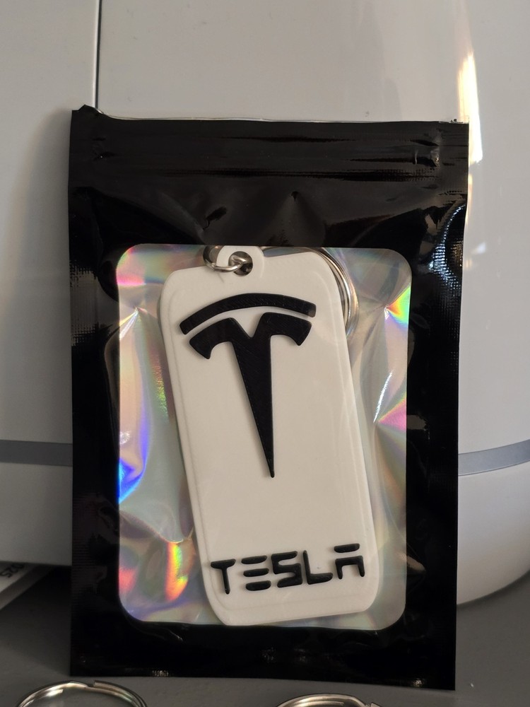 Tesla Keychain
