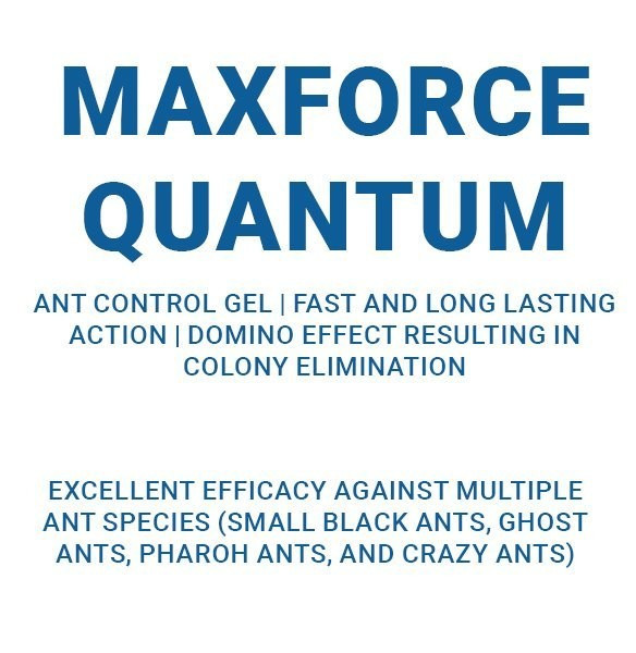 4 Tubes Maxforce Quantum Ant Control Bait w/ 40 Refillable Stations Pharaoh etc