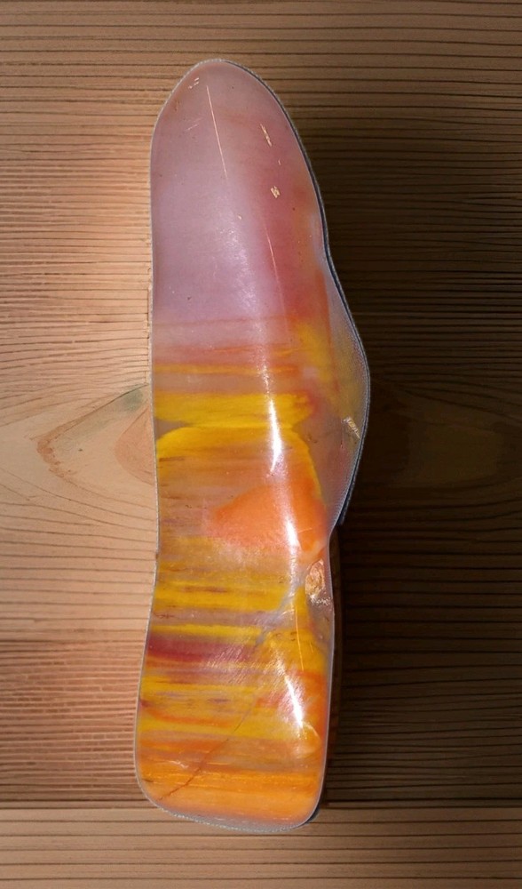 Rainbow Petrified Wood Polished