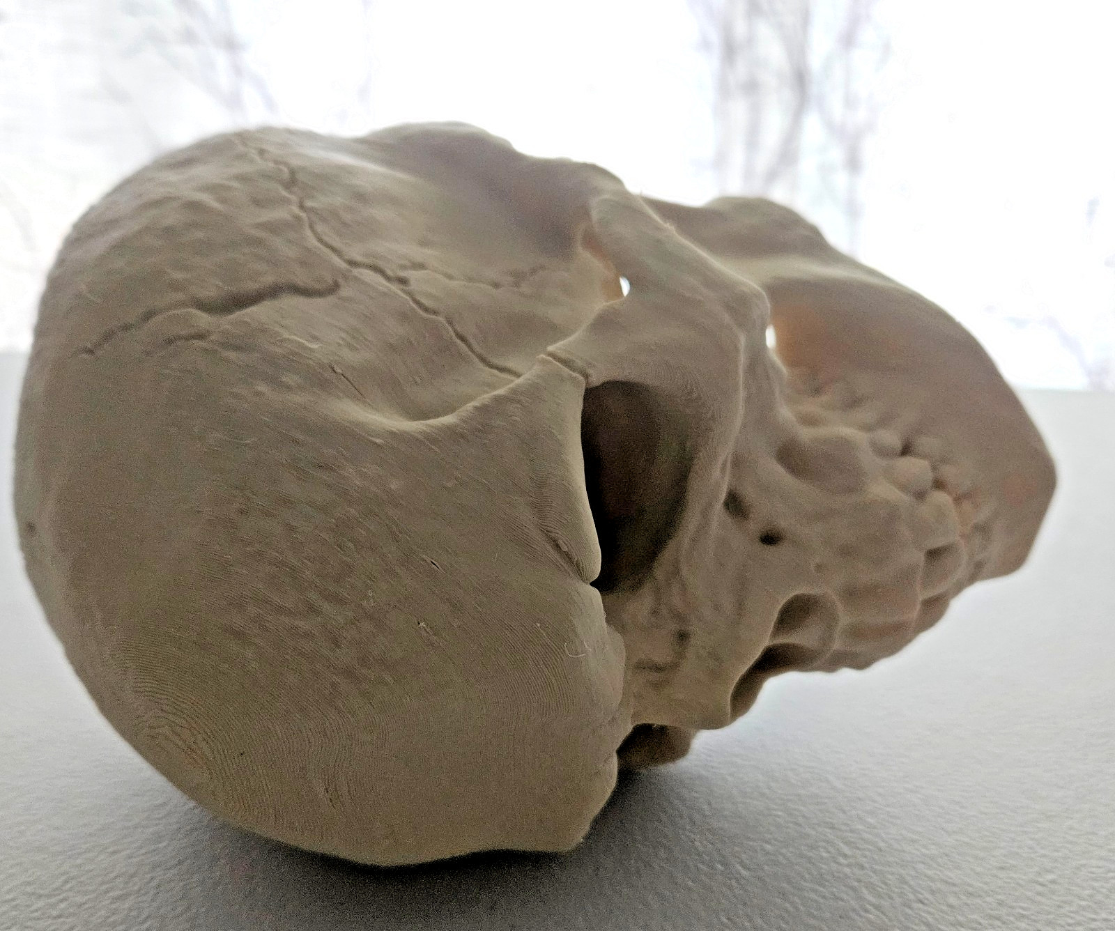 Large 3D Printed Human Skull 8 inch • Bone Color • Realistic Artistic Model