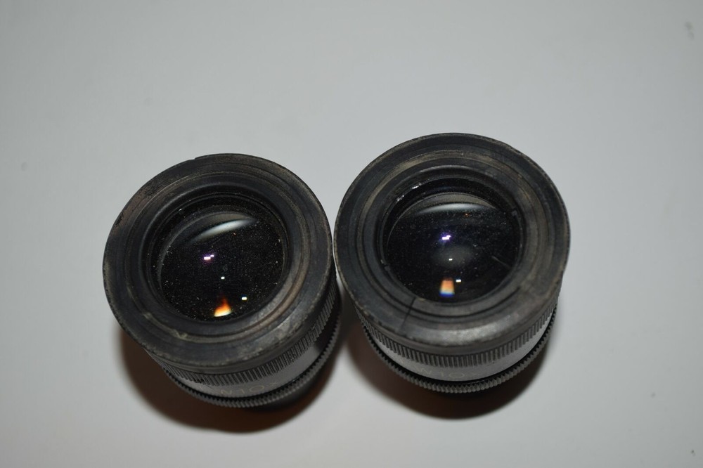 NIKON CWF10X MICROSCOPE EYEPIECES - INCLUDES 2 (LB73)