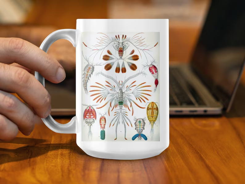 Haeckel Copepoda Mug Science Coffee Cup Gift