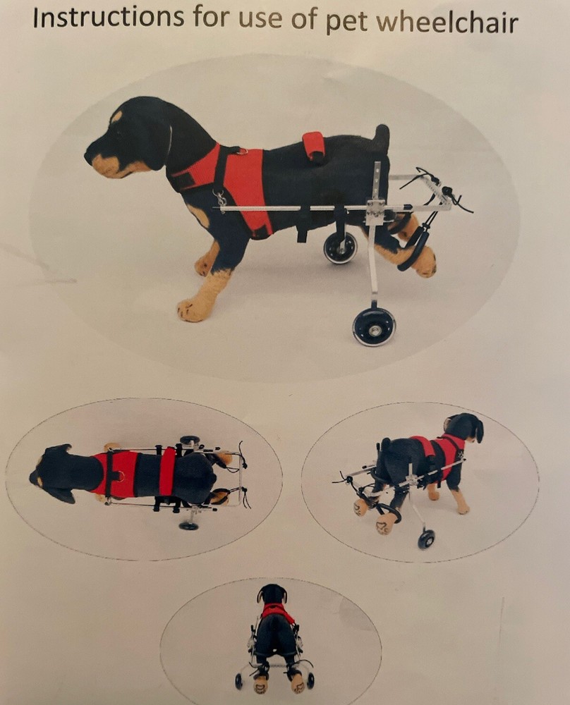 Small Pet Wheelchair Adjustable