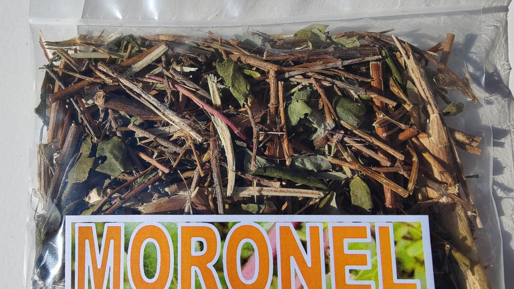 Moronel (Moronel Planta De La Vida) te de moronel