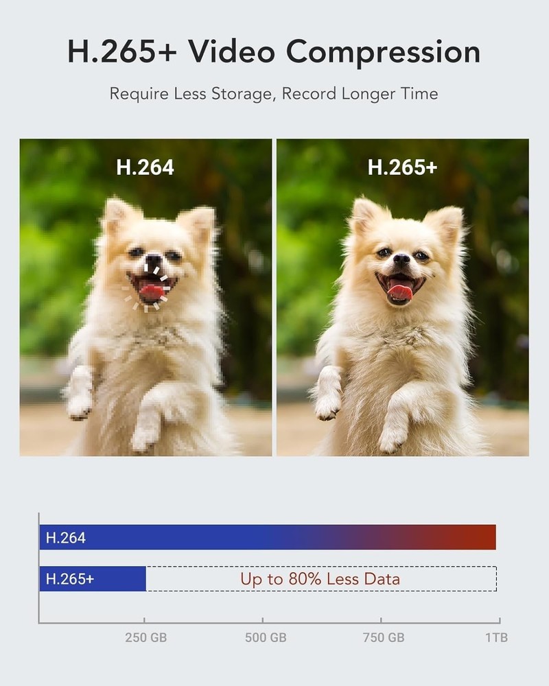 Complete 16-Channel Surveillance System - 2TB HDD, Motion Detection & Easy Setup