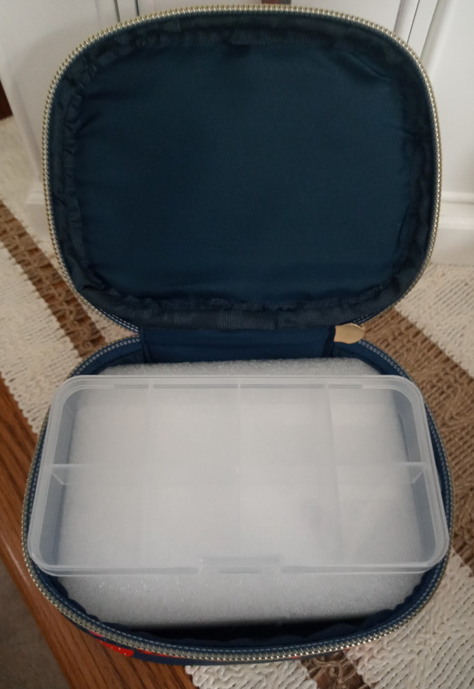 DABNEY LEE Strawberries PILL CASE ORGANIZER with Pill Case Insert NEW
