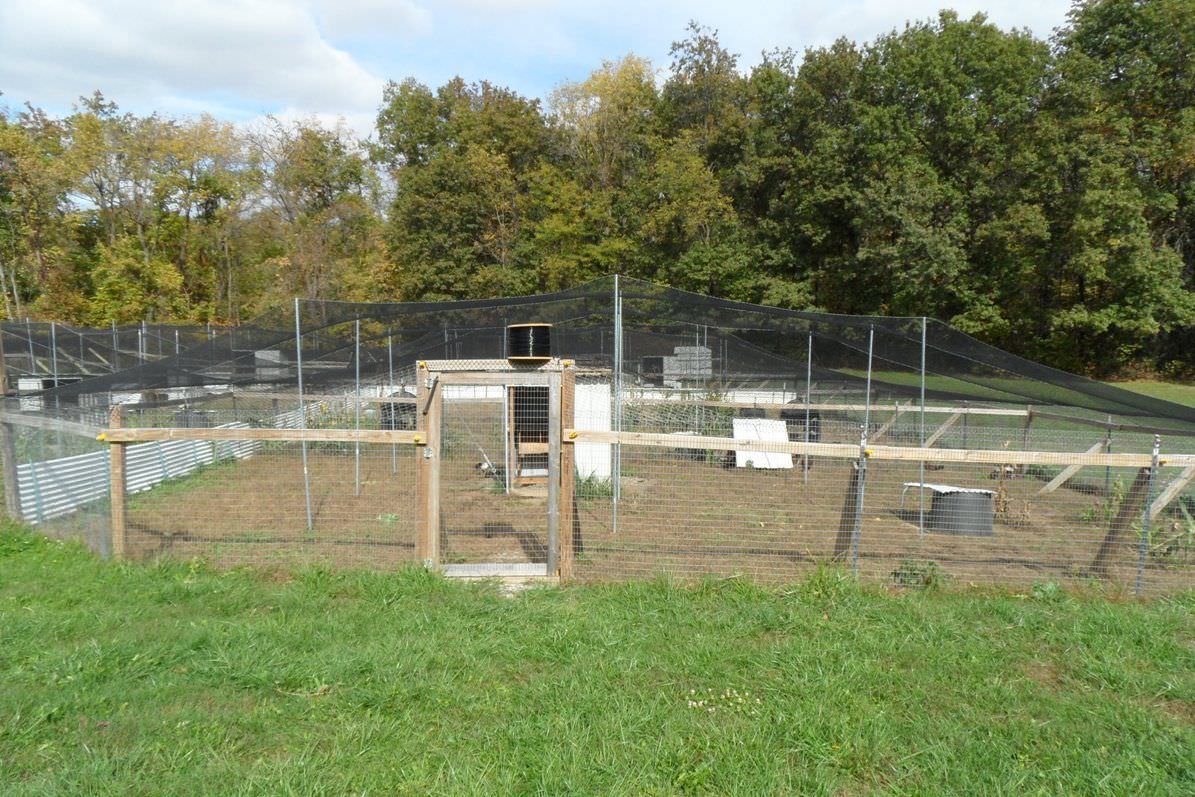 Netting Light Knitted Nets - Poultry Anti Bird Garden - 8 to 10 Year Lifespan!