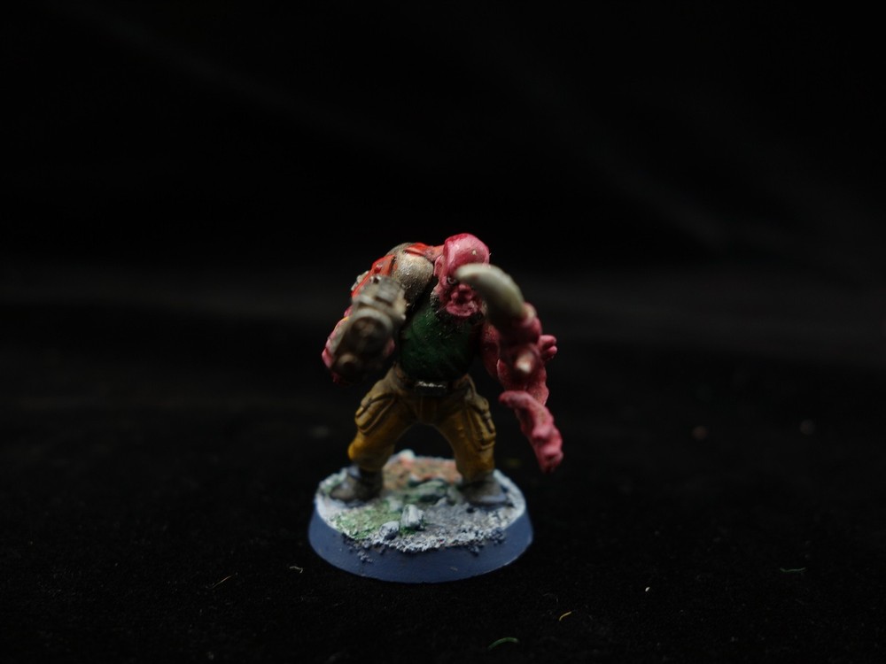 Warhammer 40K: Mutant Conversions (painted)