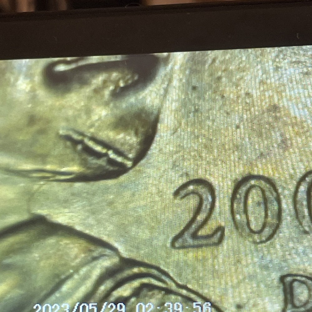 2000 p & d sacagawea dollar, Die Cracks And Chips +