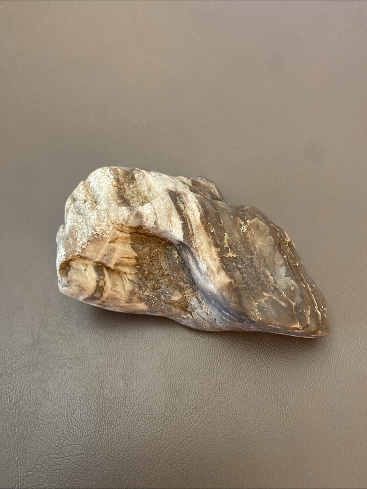 Petrified Wood
