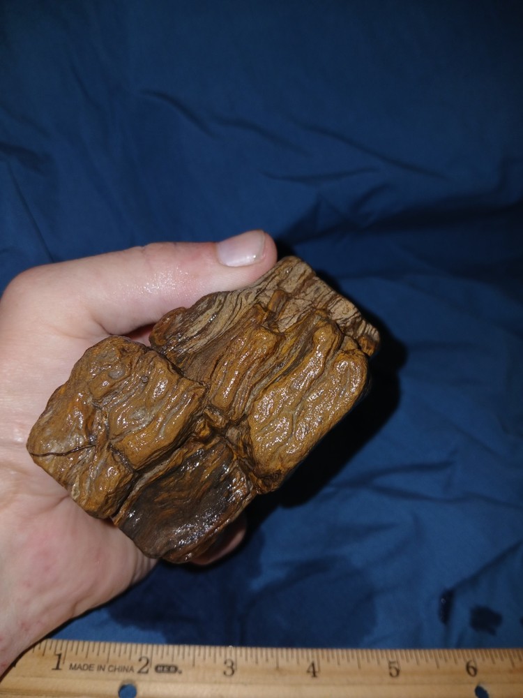 10 oz Petrified Wood