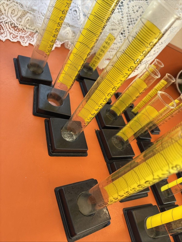 Plastic graduated cylinders for school or homeschool Science Lab