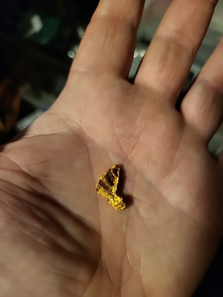 Gold Nugget