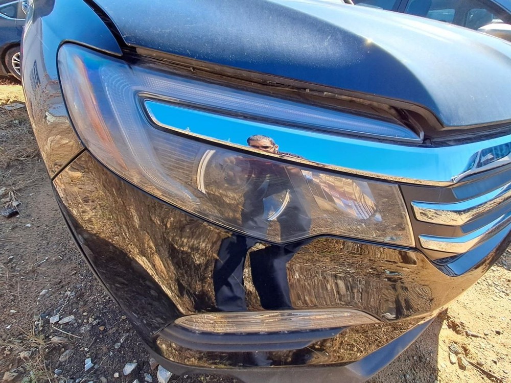 PILOT 2016 Glove Box 4852143