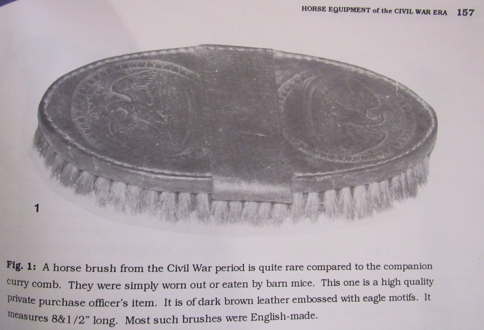 Civil War Patriotic Eagle Our Bird Leather US Cavalry Horse Grooming Brush 1860s