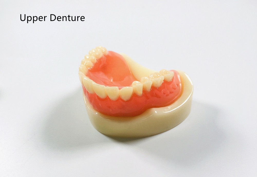 Dental Full Denture Model Magnetic Attachment Mandibular Upper/Lower Study