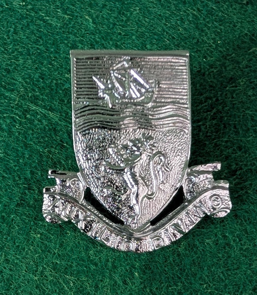Obsolete police collar badge - Devon Constabulary (7 available)