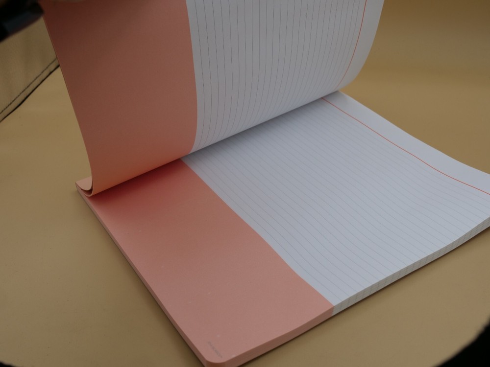 AT-A-GLANCE TAKE NOTE NOTEBOOK