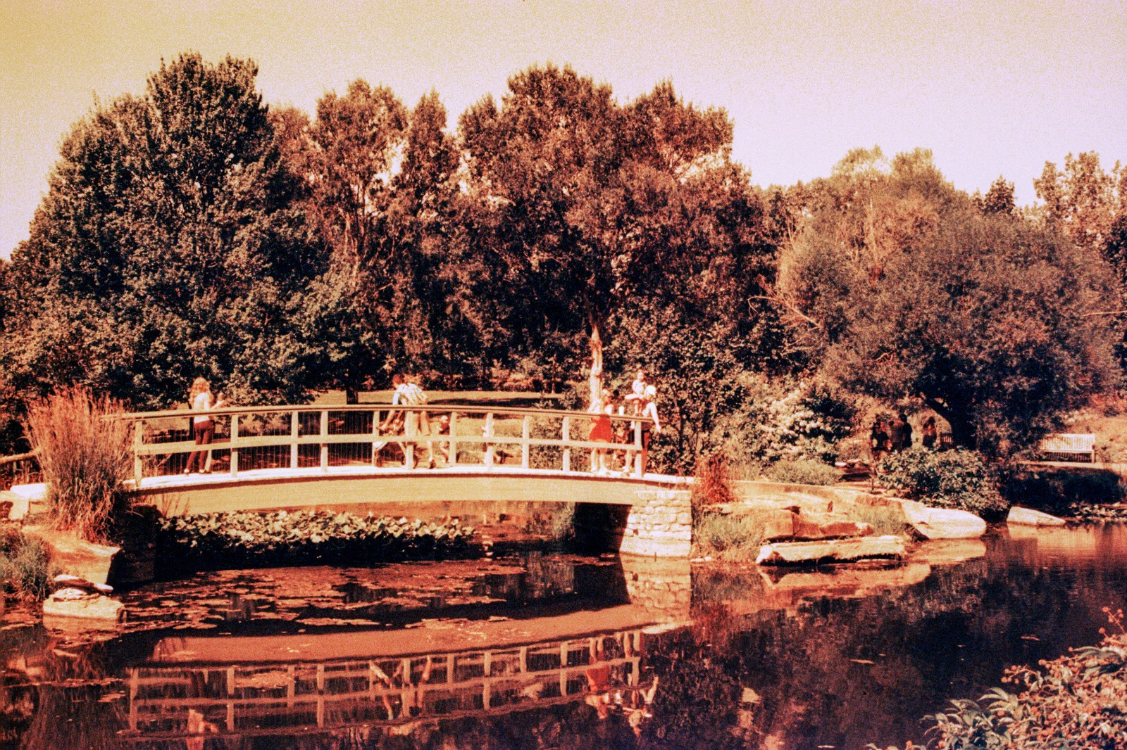 THE MARS PROJECT - BRAND NEW 35mm Color Negative Film 80 ISO - Experimental Fun