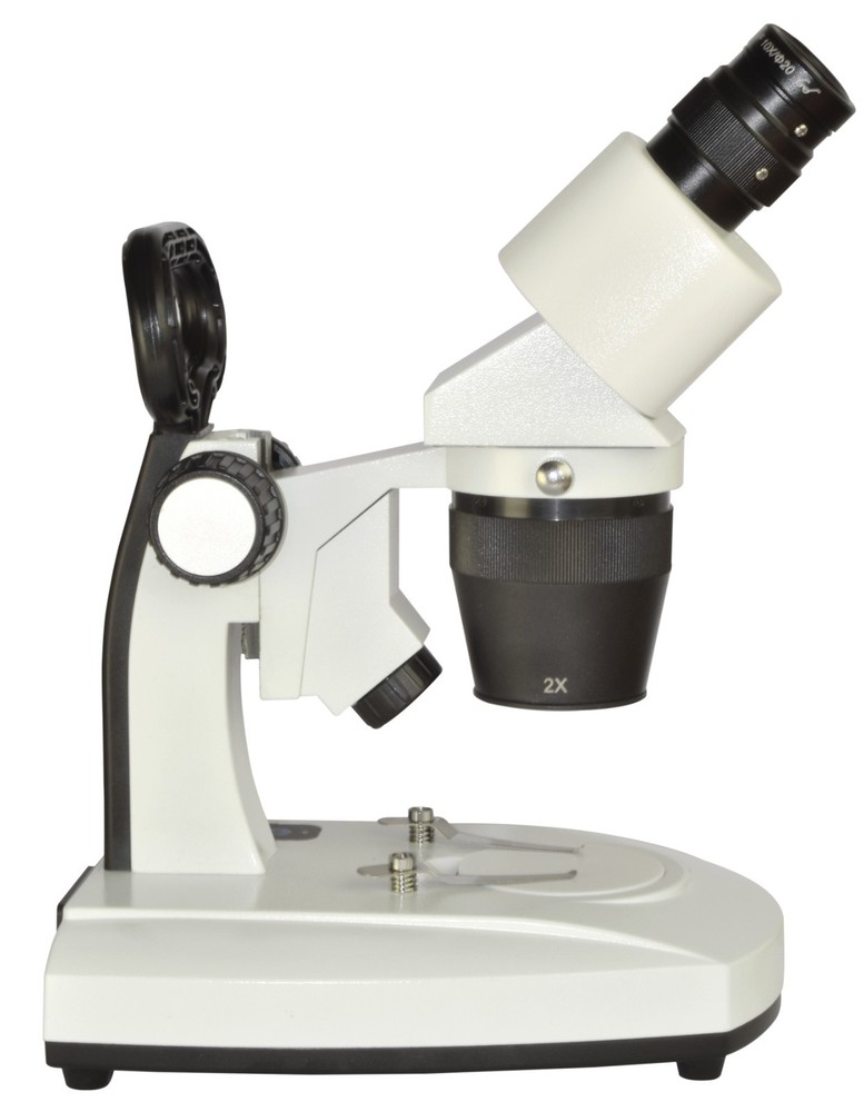 Binocular Stereo Microscope 20–80x with 2x–4x Objective Dual LED