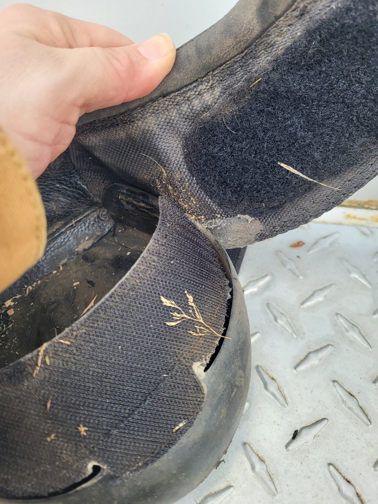 cavallo horse boots size 3