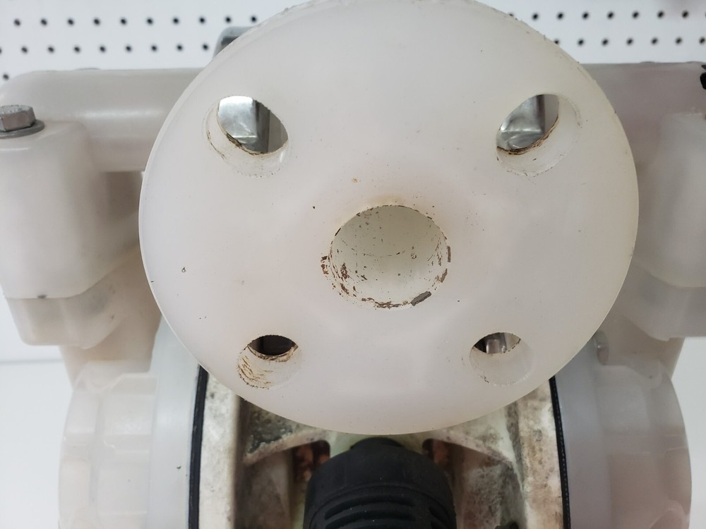 Versamatic Diaphragm Pump E1PP5F5T9C-CP Warren Rupp