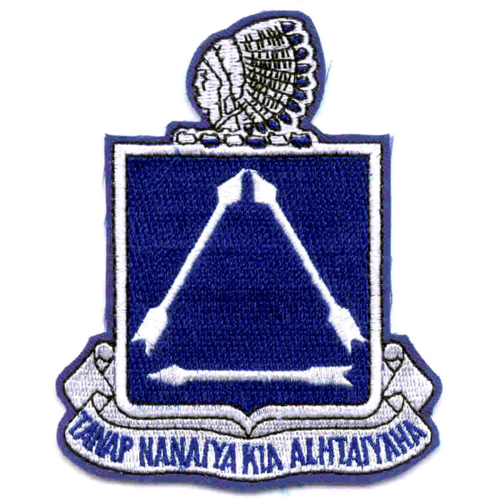 180th Infantry Regiment Patch