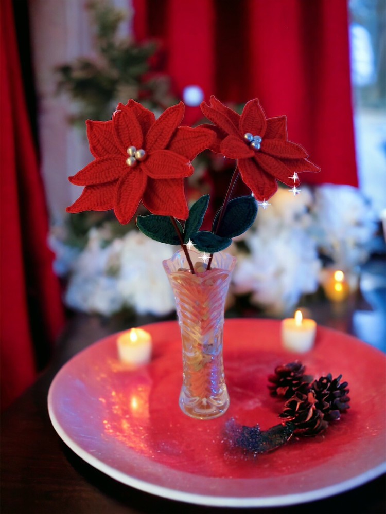 Crochet Christmas Star