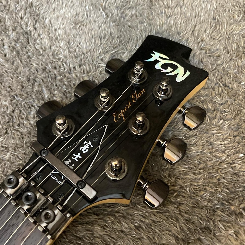 Fujigen Fgn Eel-Fm Tks