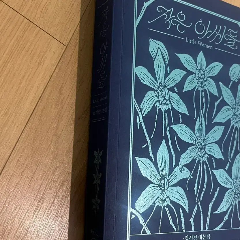 Little Women Script Book Set Drama Pink & Blue Versions