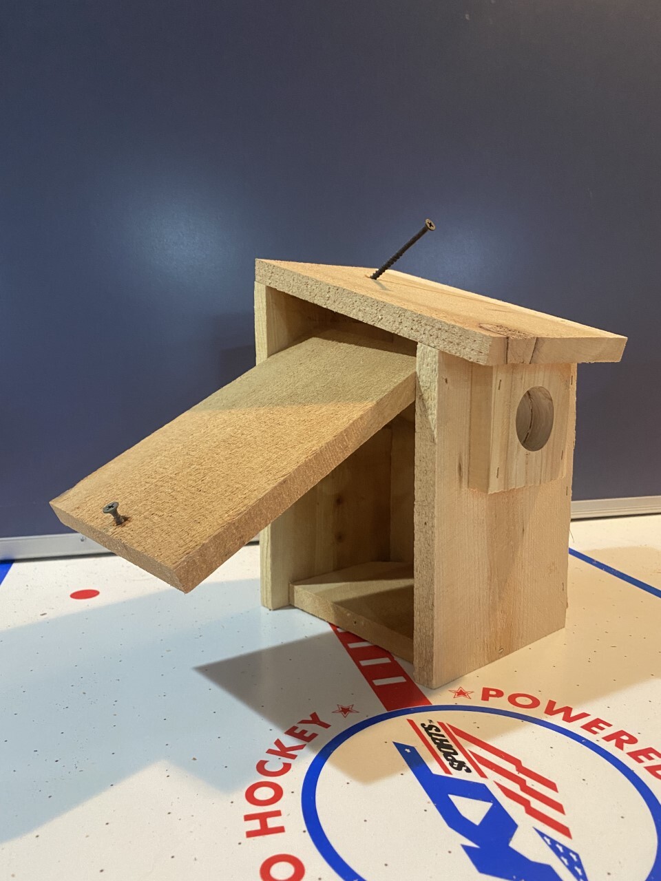 4 Brand New Cedar Bluebird Bird Houses, Natural or Scorched, Many to Choose From