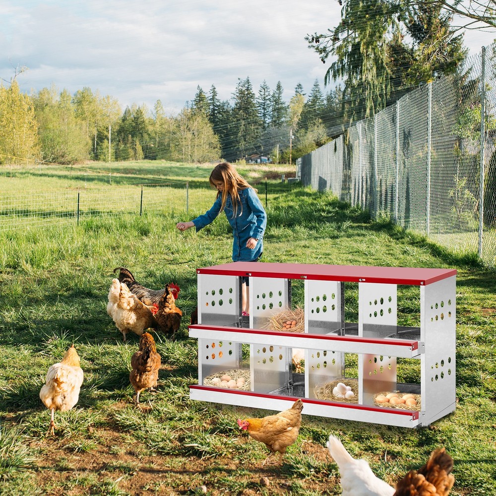 8 Compartment Chicken Metal Nesting Box, 8 Room Wall Mountable Nesting Boxes Hen