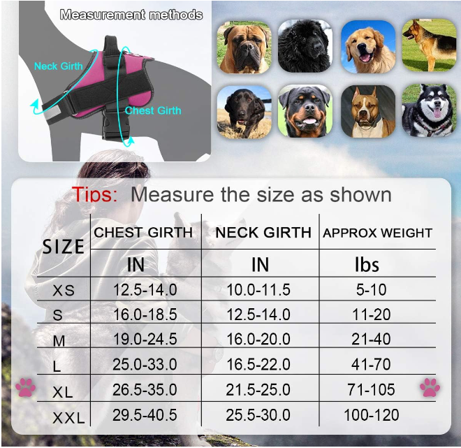 BOLUX Dog Harness, Turquoise, Size Medium, Free Shipping!!!