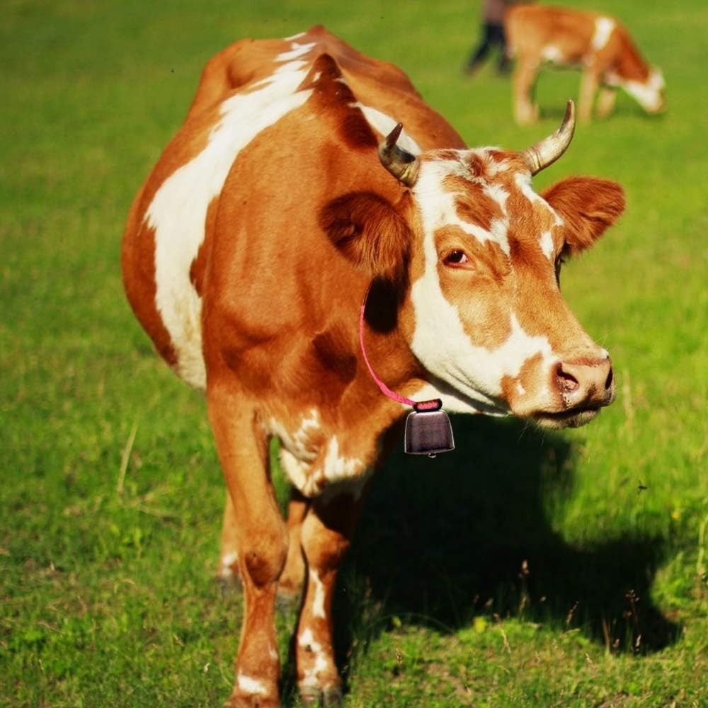 5 Pack Grazing Copper Bells, Metal Cow Bells for Dogs, Animal Copper Loud Bronze