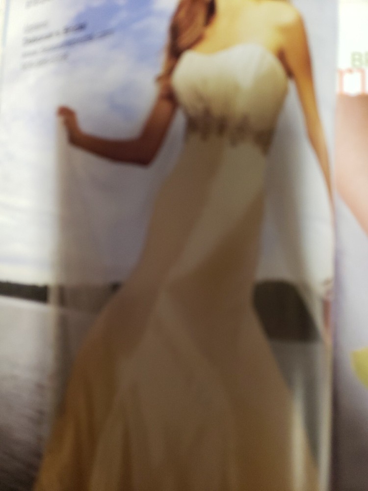 Brides March/April 2009 Magazine