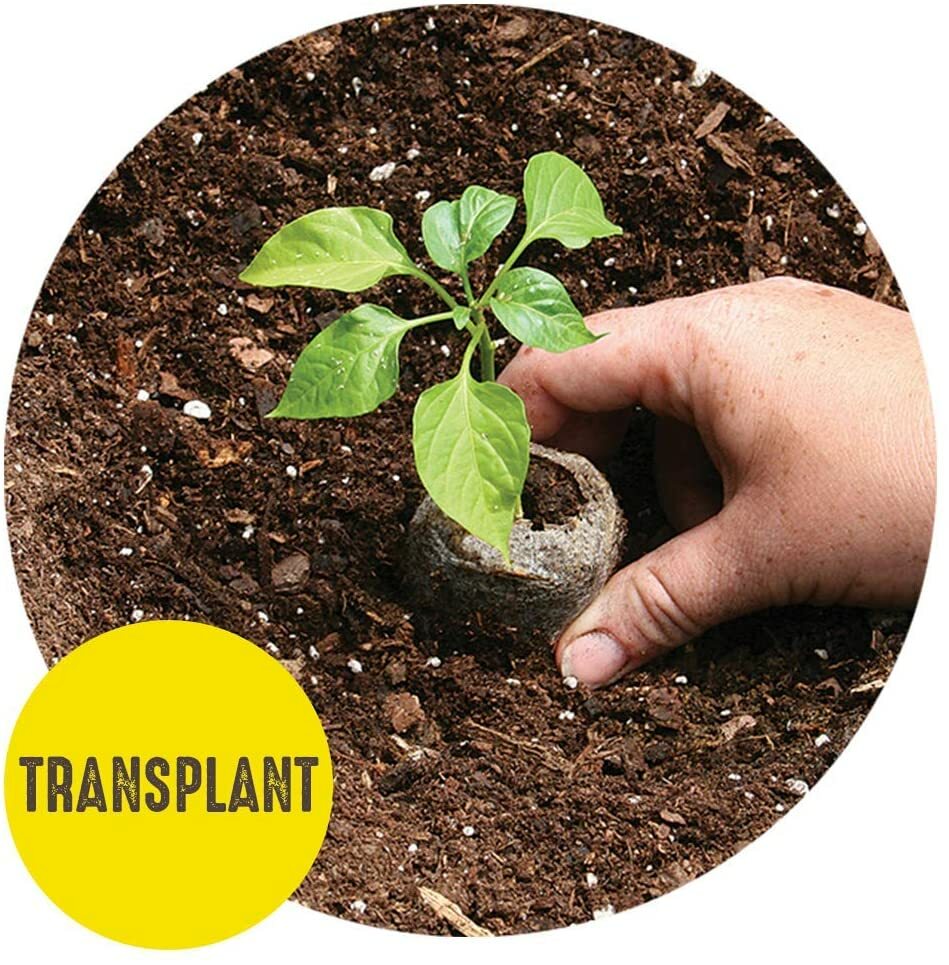 50mm Jiffy Peat Pellets, FAST SHIP Sold sets of 10,25,50,100,486 Seed Starting