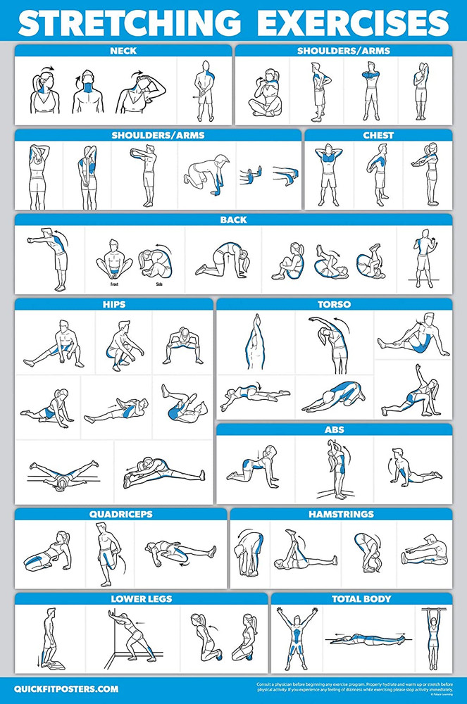 QUICKFIT Stretching Workout Exercise Poster - Stretch Routine (Laminated, 18"...
