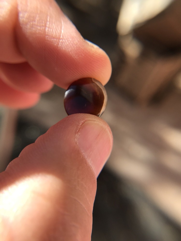 Deer Creek Fire Agate Cabochon