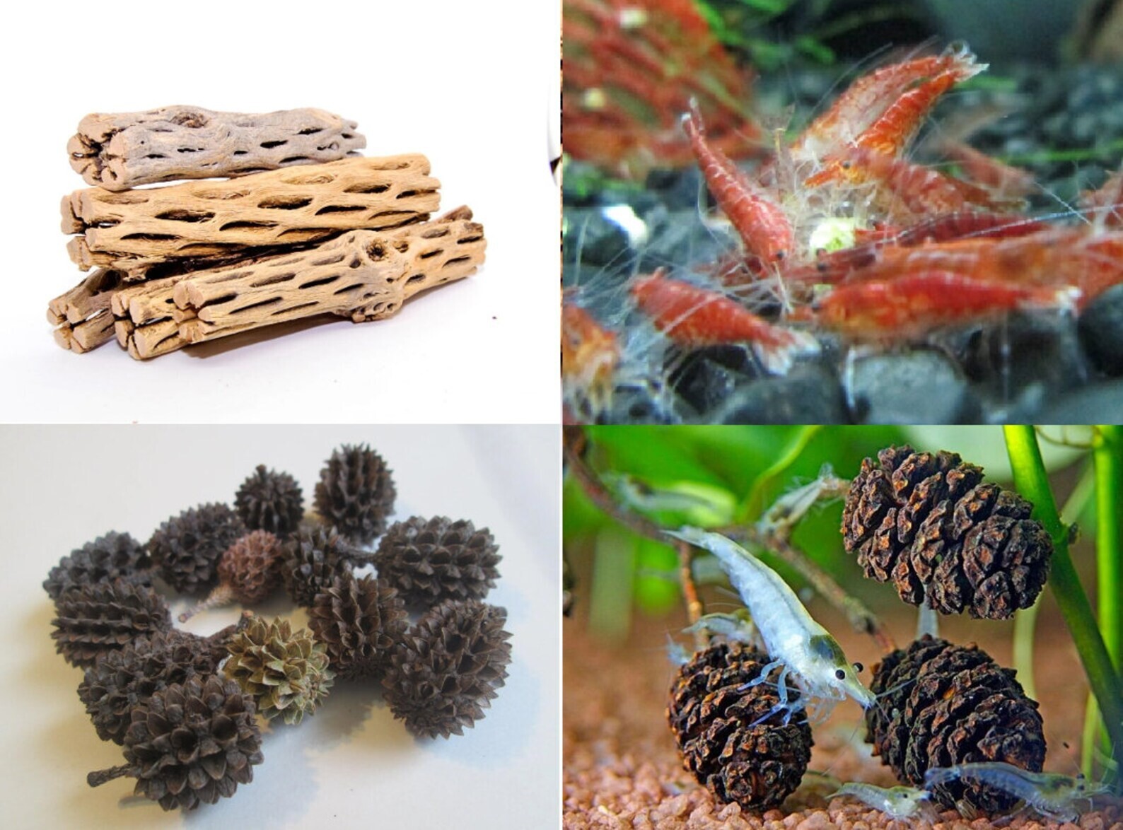 3 Nano Cholla Wood + 15 Filao Cones + 15 Alder Cones Aquarium Fish Invertebrates