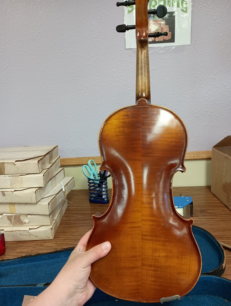 Violin