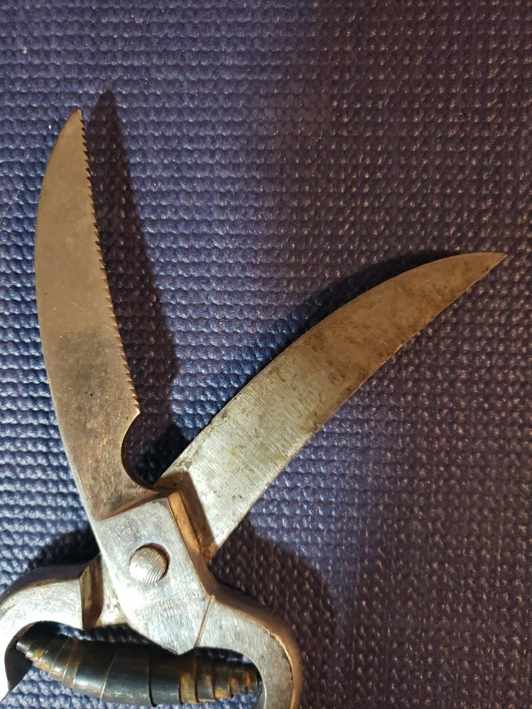 Vintage Solingen Germany Locking Poultry Shears Scissors 10”