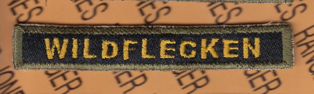 US Army 3rd Armored Division FRIEDBERG Germany Armor Tank tab ~4" patch c/e