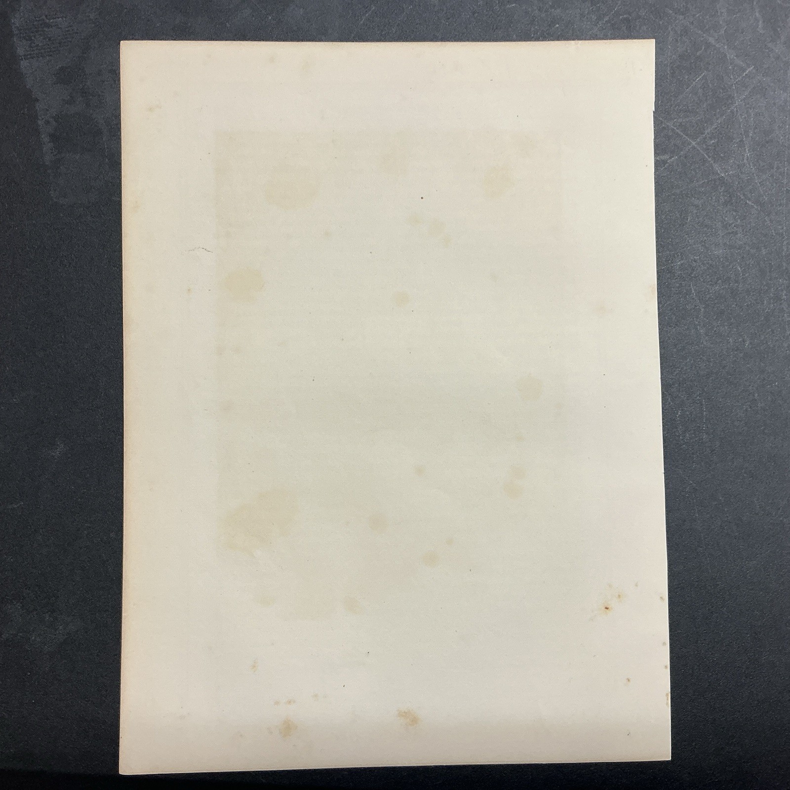 LITHOGRAPH ENGRAVING Elisha Kent Kane 1862 Johnson Fry & Co