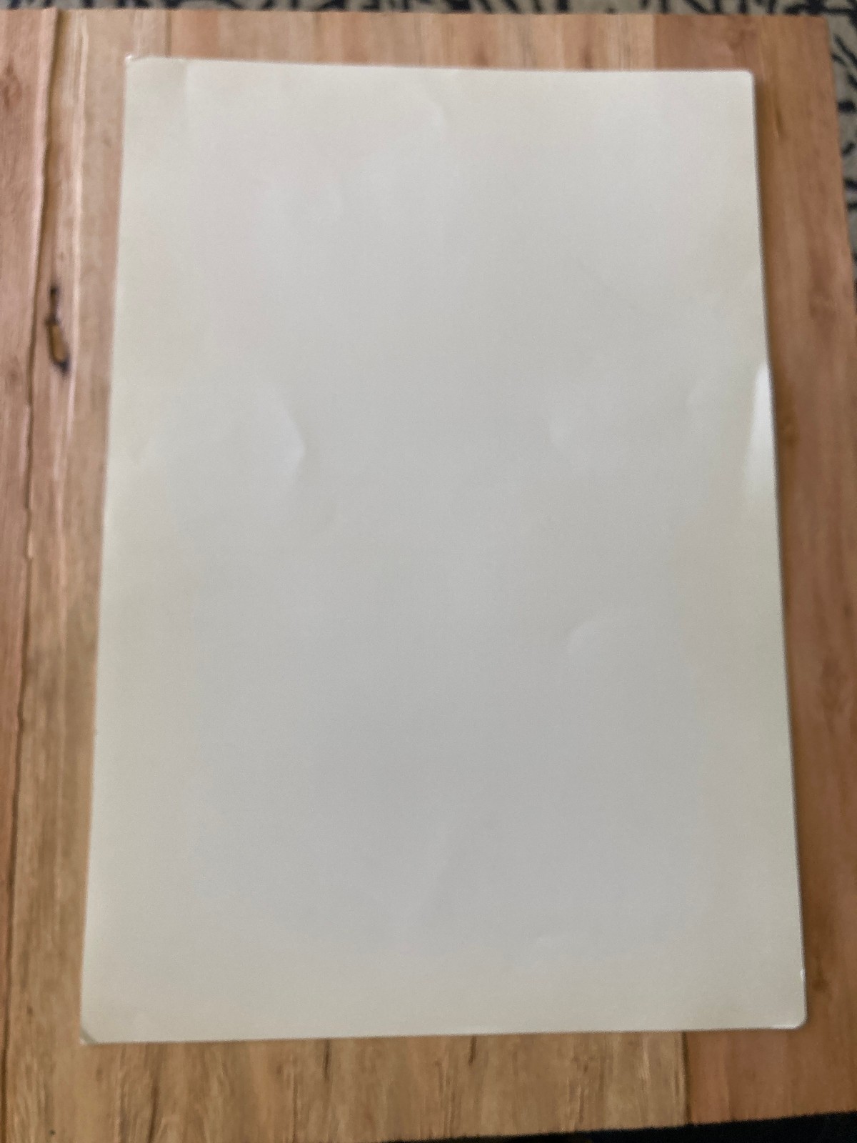 SIERRA NEVADA WORLD MUSIC FESTIVAL 2003 poster Wailers Prince Buster ORIG