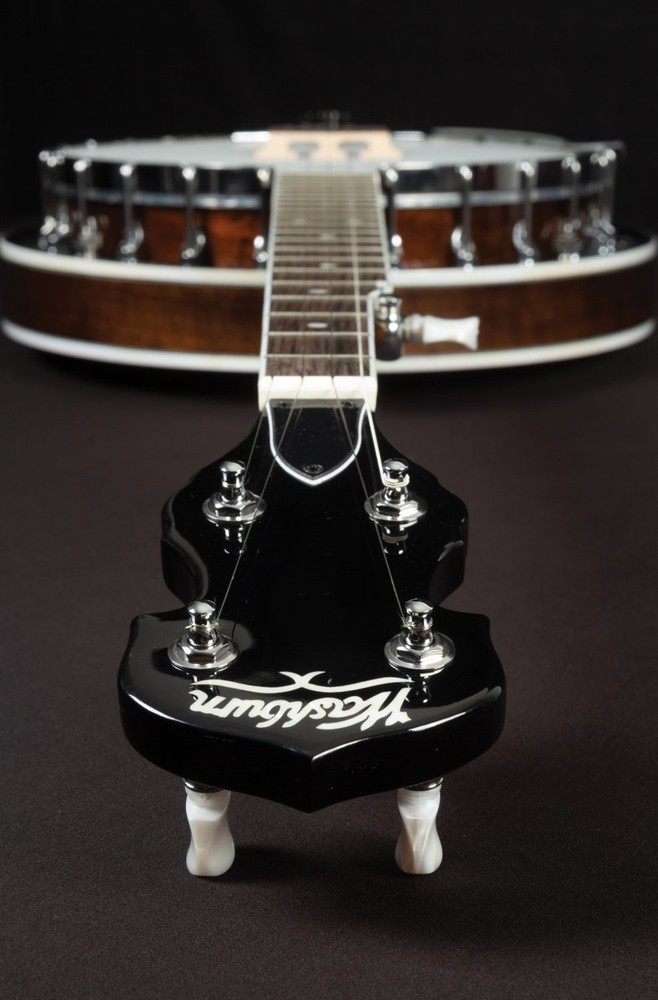 Washburn Americana B11 - Five String Banjo