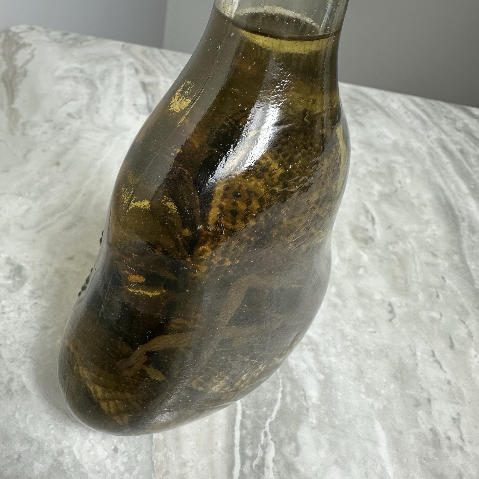 Cobra Snake And A Scorpion In A Glass Bottle 7" Tall - Snake Wine?